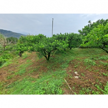 20230420_161838.jpg 20230420_161838.jpg