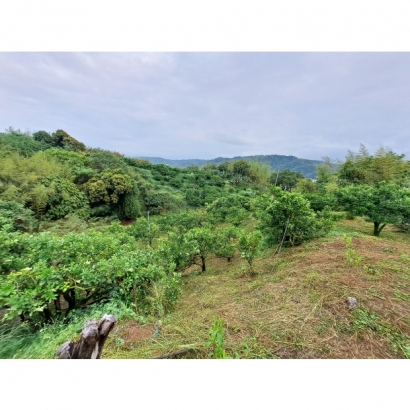 20230420_161944.jpg 20230420_161944.jpg