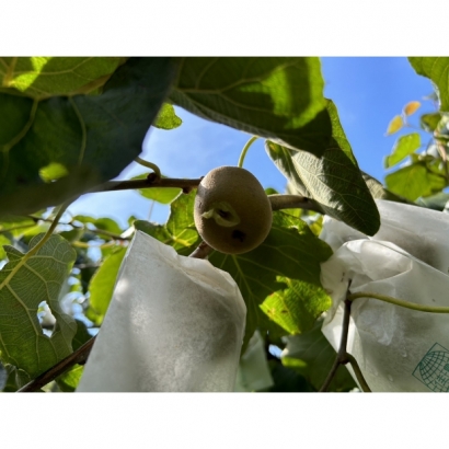 1693003231883.jpg 1693003231883.jpg