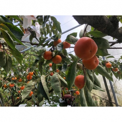 C5D188A7-600F-45EB-9DF0-EB5AC9A5E328.jpg C5D188A7-600F-45EB-9DF0-EB5AC9A5E328.jpg