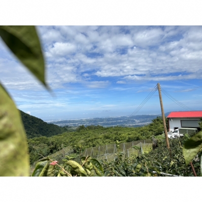 1693003220951.jpg 1693003220951.jpg