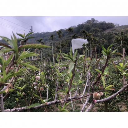 S__82690071_0.jpg S__82690071_0.jpg