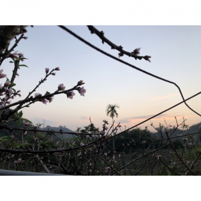 S__82690073_0.jpg S__82690073_0.jpg