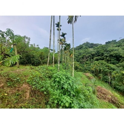 20230824_155524.jpg 20230824_155524.jpg