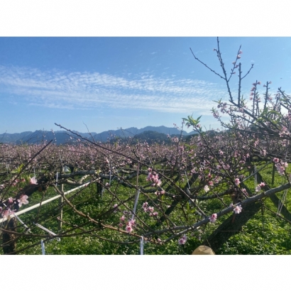 1693483477968.jpg 1693483477968.jpg