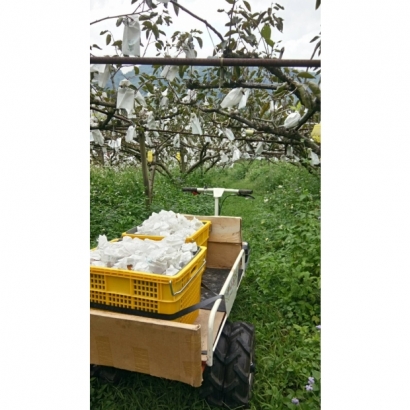 1693399577789.jpg 1693399577789.jpg