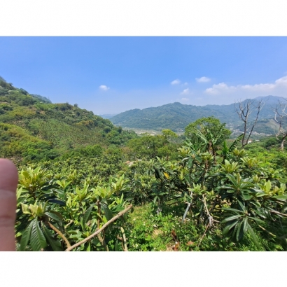 20230504_113022.jpg 20230504_113022.jpg