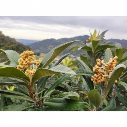 IMG_20221229_091854.jpg IMG_20221229_091854.jpg