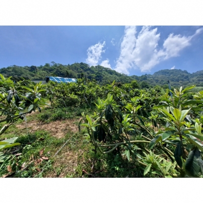 20230504_112856.jpg 20230504_112856.jpg