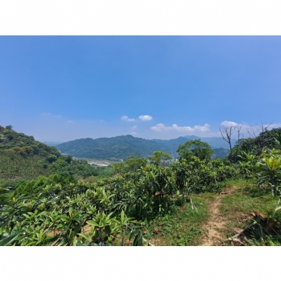 20230504_112906.jpg 20230504_112906.jpg