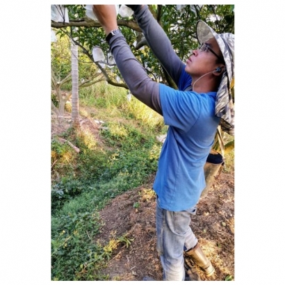 1151635.jpg 1151635.jpg