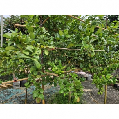 60756_0.jpg 60756_0.jpg