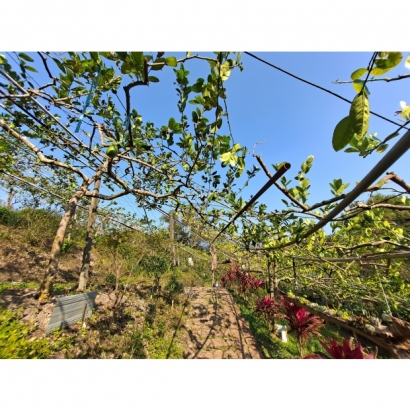 20230301_152806.jpg 20230301_152806.jpg