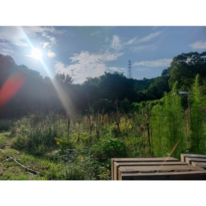 LINE_ALBUM_2023830_230830_17.jpg LINE_ALBUM_2023830_230830_17.jpg