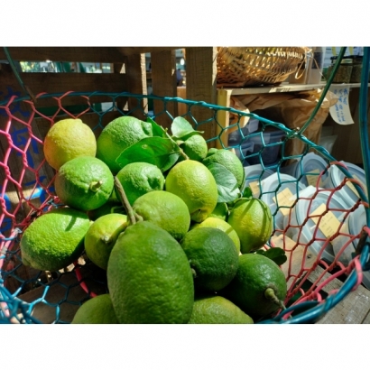 LINE_ALBUM_2023830_230830_18.jpg LINE_ALBUM_2023830_230830_18.jpg