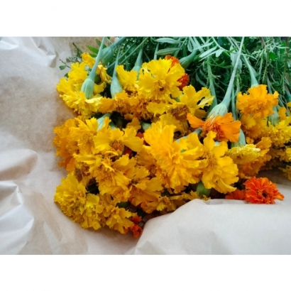 LINE_ALBUM_2023830_230830_14.jpg LINE_ALBUM_2023830_230830_14.jpg