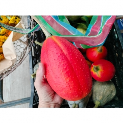 LINE_ALBUM_2023830_230830_15.jpg LINE_ALBUM_2023830_230830_15.jpg