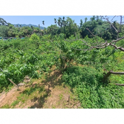 20230602_114003.jpg 20230602_114003.jpg