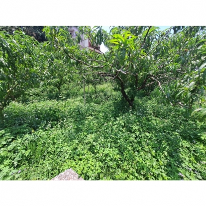 20230602_114333.jpg 20230602_114333.jpg