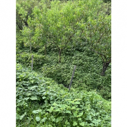 1693484289793.jpg 1693484289793.jpg