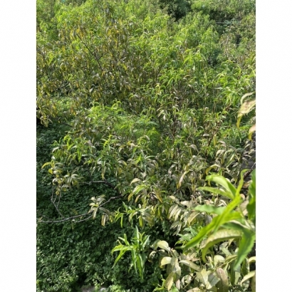 1693484287521.jpg 1693484287521.jpg