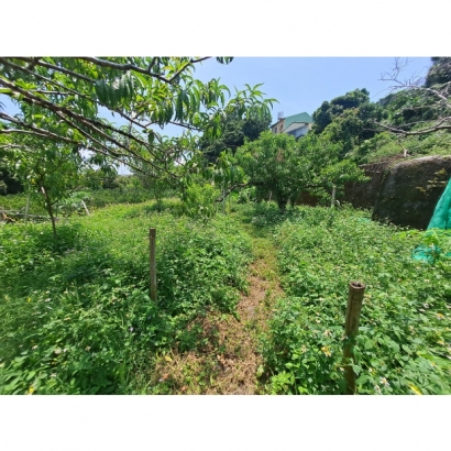 20230602_114313.jpg 20230602_114313.jpg