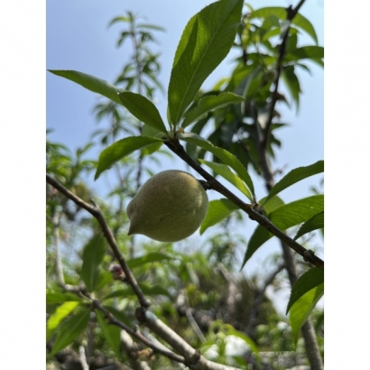 1693484280879.jpg 1693484280879.jpg